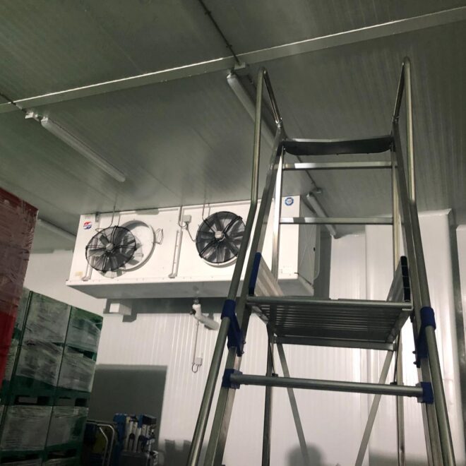 WhatsApp Image 2026-02-26 at 11.37.57 (1)