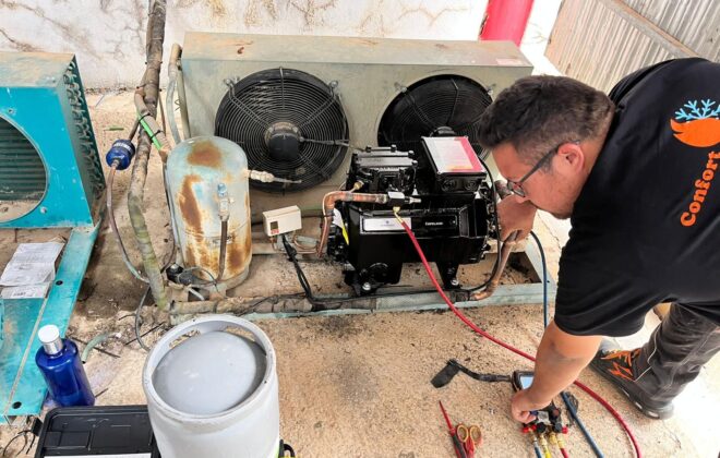 WhatsApp Image 2026-02-26 at 11.37.59