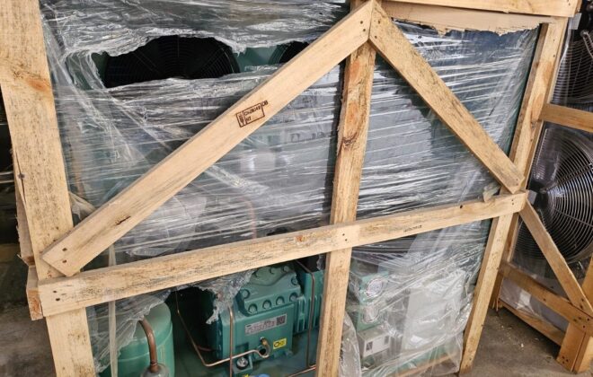 WhatsApp Image 2026-02-26 at 11.38.02 (4)